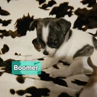 processed/3a5190c5-84f5-4d6b-acec-8c3aa3342220/listing/9776692a-b584-43de-a192-08fdb63ac5f1/c1fbbdc6-cbe0-4c8d-802e-925061229909