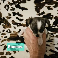 processed/3a5190c5-84f5-4d6b-acec-8c3aa3342220/listing/9776692a-b584-43de-a192-08fdb63ac5f1/f4608f14-0cbf-4dd9-bc17-3c6cbd1115d7