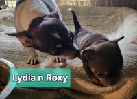 processed/3a5190c5-84f5-4d6b-acec-8c3aa3342220/listing/9e3dd544-c400-4ebc-98d5-936a926de29c/09221ca1-d193-4736-824e-639a0491ff1a