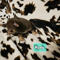 processed/3a5190c5-84f5-4d6b-acec-8c3aa3342220/listing/9e3dd544-c400-4ebc-98d5-936a926de29c/69b821c8-5539-4e88-b877-f6bec160fba0