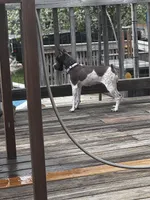 processed/3a5190c5-84f5-4d6b-acec-8c3aa3342220/listing/d1652bc8-eb4e-4de3-9d0b-2f8aabfed330/538ee005-117a-4266-9272-03ed203ba720