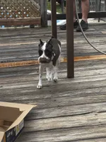 processed/3a5190c5-84f5-4d6b-acec-8c3aa3342220/listing/d1652bc8-eb4e-4de3-9d0b-2f8aabfed330/583981a3-4883-4976-b09b-683fd002fb32