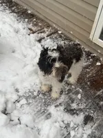 processed/3a5190c5-84f5-4d6b-acec-8c3aa3342220/listing/d1652bc8-eb4e-4de3-9d0b-2f8aabfed330/635819d7-082b-4b67-96ec-32d38d1ae4e7