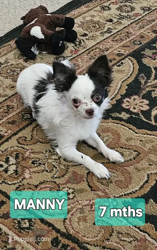 Manny