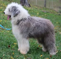 processed/3a524e41-d92b-448e-b297-986a9f70feeb/facility/210c8071-04a0-44ff-aff0-2e06cbcf845b