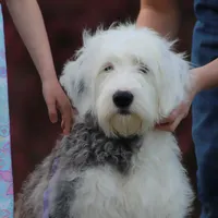 processed/3a524e41-d92b-448e-b297-986a9f70feeb/facility/36fcc4cd-9841-4128-afb0-bc7f59ddc9ed