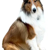 processed/3a524e41-d92b-448e-b297-986a9f70feeb/facility/6f95c17f-016d-4267-a359-d112bb172c4c