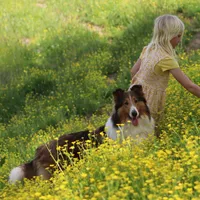 processed/3a524e41-d92b-448e-b297-986a9f70feeb/facility/8867d327-22ca-4cd2-b031-b701babee50e