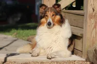 processed/3a524e41-d92b-448e-b297-986a9f70feeb/facility/a09e8bdb-a785-4891-87f3-e692ae203a34