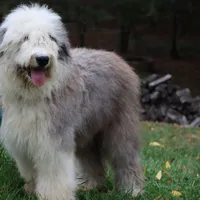 processed/3a524e41-d92b-448e-b297-986a9f70feeb/facility/da6384b5-d556-49f4-9a1b-1d7e5c4dc96b