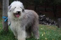 processed/3a524e41-d92b-448e-b297-986a9f70feeb/facility/da6384b5-d556-49f4-9a1b-1d7e5c4dc96b