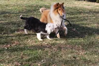 processed/3a524e41-d92b-448e-b297-986a9f70feeb/facility/ded2ce4c-e70e-4a9c-83ce-7e90188d9024