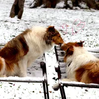 processed/3a524e41-d92b-448e-b297-986a9f70feeb/facility/df484ef1-a47f-496d-9225-20fa0631489e