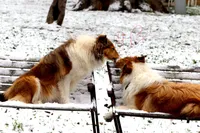 processed/3a524e41-d92b-448e-b297-986a9f70feeb/facility/df484ef1-a47f-496d-9225-20fa0631489e