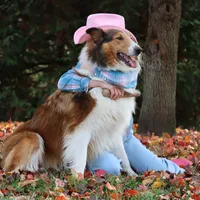 processed/3a524e41-d92b-448e-b297-986a9f70feeb/facility/f94443e7-7610-490f-9042-b98002a9d8ae