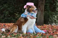 processed/3a524e41-d92b-448e-b297-986a9f70feeb/facility/f94443e7-7610-490f-9042-b98002a9d8ae