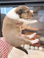 processed/3a524e41-d92b-448e-b297-986a9f70feeb/listing/3114e5c3-823d-4736-bf17-e816c39fbbe4/3c13ed6d-a2ec-4d13-bc8e-da0c277ffc82