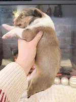 processed/3a524e41-d92b-448e-b297-986a9f70feeb/listing/3114e5c3-823d-4736-bf17-e816c39fbbe4/7840f06d-02d9-4a9d-b80b-29345d529a8f