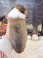 processed/3a524e41-d92b-448e-b297-986a9f70feeb/listing/3114e5c3-823d-4736-bf17-e816c39fbbe4/a9a82288-7645-4f80-b64e-4cf1483121b9