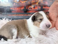 processed/3a524e41-d92b-448e-b297-986a9f70feeb/listing/7922296c-1657-4175-bae5-9e04628af5e0/51fc9706-f150-48ee-98a7-4e273ca0211e