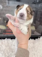 processed/3a524e41-d92b-448e-b297-986a9f70feeb/listing/7922296c-1657-4175-bae5-9e04628af5e0/85b31145-fd2a-4cb5-9d69-cd90c17fc130