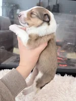 processed/3a524e41-d92b-448e-b297-986a9f70feeb/listing/7922296c-1657-4175-bae5-9e04628af5e0/af513a34-da3c-4ab0-9912-2c8929f04848