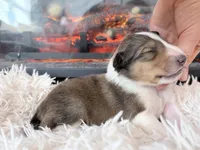 processed/3a524e41-d92b-448e-b297-986a9f70feeb/listing/7bc7f84c-3dd8-49e1-b7f3-cd0ef0c69859/20e22f7e-641c-42c2-b11d-3ac7cad5d252