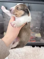 processed/3a524e41-d92b-448e-b297-986a9f70feeb/listing/7bc7f84c-3dd8-49e1-b7f3-cd0ef0c69859/54069d2b-53f3-4ec4-93f5-de65616d9ec2