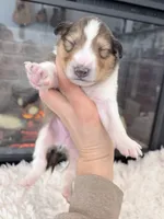 processed/3a524e41-d92b-448e-b297-986a9f70feeb/listing/7bc7f84c-3dd8-49e1-b7f3-cd0ef0c69859/a227758a-267c-4b9d-b7f1-823e0bf87b54