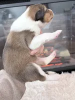 processed/3a524e41-d92b-448e-b297-986a9f70feeb/listing/7bc7f84c-3dd8-49e1-b7f3-cd0ef0c69859/a4ebecfb-3be8-4d40-8ae0-751f5626bb8b