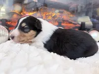 processed/3a524e41-d92b-448e-b297-986a9f70feeb/listing/90e6c3eb-a481-4f2a-9fa2-16af2caba59a/37d52fd6-caa8-4284-9051-c4da2a86d071