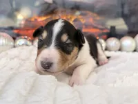 processed/3a524e41-d92b-448e-b297-986a9f70feeb/listing/90e6c3eb-a481-4f2a-9fa2-16af2caba59a/bbe34248-182d-4548-ab0a-985052705d91