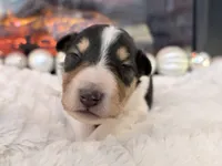 processed/3a524e41-d92b-448e-b297-986a9f70feeb/listing/90e6c3eb-a481-4f2a-9fa2-16af2caba59a/d56e848f-e47a-41c9-8f76-f5929f8adddd