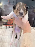 processed/3a524e41-d92b-448e-b297-986a9f70feeb/listing/93673926-0298-43d0-80ce-3f73ea259807/4488301d-09ba-4ca5-b738-632dce4f2812