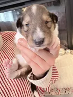 processed/3a524e41-d92b-448e-b297-986a9f70feeb/listing/93673926-0298-43d0-80ce-3f73ea259807/63cd8462-aca2-46bb-a407-4e69d9b89162