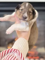 processed/3a524e41-d92b-448e-b297-986a9f70feeb/listing/93673926-0298-43d0-80ce-3f73ea259807/6a0ae609-9b6b-4464-8bb2-b3c40d0f1596