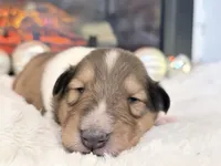 processed/3a524e41-d92b-448e-b297-986a9f70feeb/listing/93673926-0298-43d0-80ce-3f73ea259807/7a86839a-6cfe-497e-b4c3-48b4cda1cf18