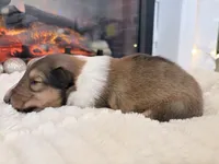 processed/3a524e41-d92b-448e-b297-986a9f70feeb/listing/93673926-0298-43d0-80ce-3f73ea259807/7b164efd-cbe1-4a60-ad03-a838b239e777