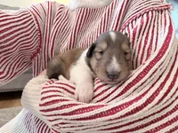 processed/3a524e41-d92b-448e-b297-986a9f70feeb/listing/93673926-0298-43d0-80ce-3f73ea259807/def53be4-bda1-4e12-a4cc-bd5ef3506273