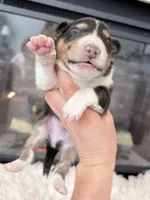 processed/3a524e41-d92b-448e-b297-986a9f70feeb/listing/9b6acdaf-fa34-46f4-819b-ded2f5354b8a/554d219b-8051-41bb-a5a9-47610ac4e093