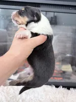 processed/3a524e41-d92b-448e-b297-986a9f70feeb/listing/9b6acdaf-fa34-46f4-819b-ded2f5354b8a/efe357de-e8ec-41da-b3ad-02b73c003d38