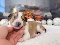 processed/3a524e41-d92b-448e-b297-986a9f70feeb/listing/9b78d8fc-3901-49de-a3e0-4f04cd00beca/961feb94-be58-42cf-af18-0e54a4eaf192