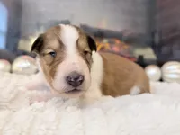 processed/3a524e41-d92b-448e-b297-986a9f70feeb/listing/9b78d8fc-3901-49de-a3e0-4f04cd00beca/9864d09d-1230-4e7c-a7ee-5302baa60aba