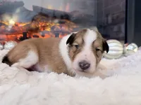 processed/3a524e41-d92b-448e-b297-986a9f70feeb/listing/9b78d8fc-3901-49de-a3e0-4f04cd00beca/b28e94de-9c7b-4024-ab0d-3e8ead6d32c7