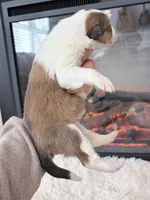 processed/3a524e41-d92b-448e-b297-986a9f70feeb/listing/9f158838-00b5-49a3-ab72-007d3534b573/0681c7a2-1fad-4af4-8079-49c587257c31