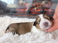 processed/3a524e41-d92b-448e-b297-986a9f70feeb/listing/9f158838-00b5-49a3-ab72-007d3534b573/53cf1055-8f8d-4fc6-a943-7a757b4755bf