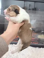 processed/3a524e41-d92b-448e-b297-986a9f70feeb/listing/9f158838-00b5-49a3-ab72-007d3534b573/58dda3e1-f110-40b4-bbf3-087f59365d69