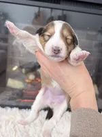 processed/3a524e41-d92b-448e-b297-986a9f70feeb/listing/9f158838-00b5-49a3-ab72-007d3534b573/cf8f4be8-d871-43d9-8f22-15758a8c2fd2