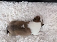 processed/3a524e41-d92b-448e-b297-986a9f70feeb/listing/9f158838-00b5-49a3-ab72-007d3534b573/ec2afa2f-7395-4d4b-992e-61b5dd57eba5