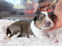 processed/3a524e41-d92b-448e-b297-986a9f70feeb/listing/aa12732c-6a91-487b-8876-9b532f6c8898/461ce405-bd0c-4d8b-b924-0f9792fe7007